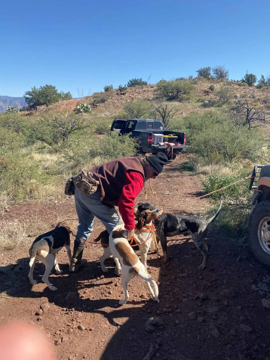 Guide with the hound pack at the truck in the desert