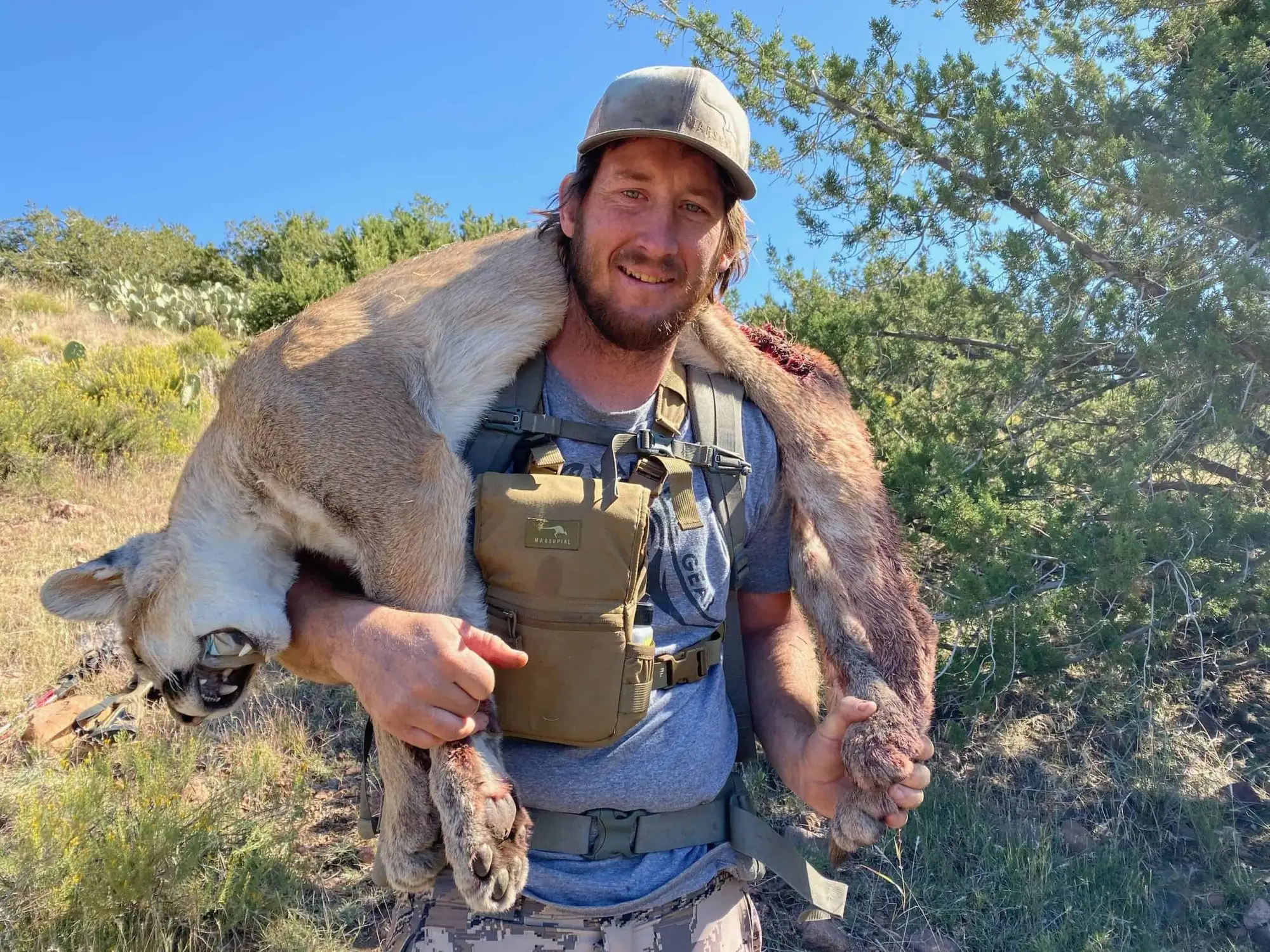 Hunter carrying a mountain lion over his shoulders in desert brush