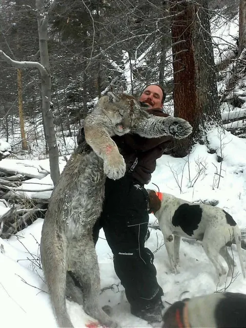 Hunter holding a mountain lion in the snow with a hound